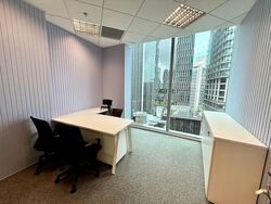 PLUS (D1), Office #551226451